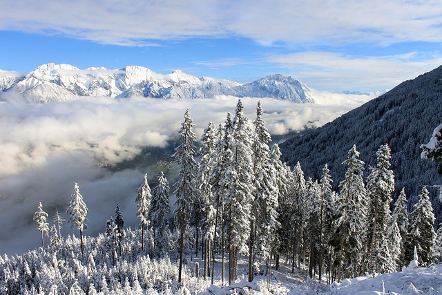 snowy-landscape-1821037_640