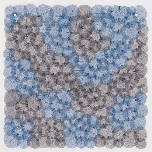 Hydrangea carte