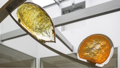 Verre l'essentiel