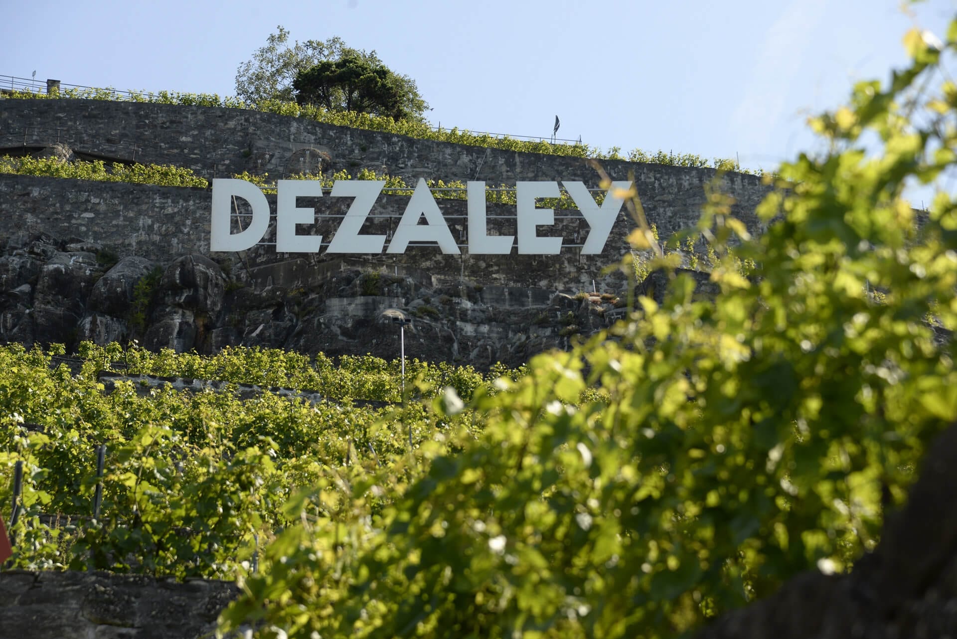 LeDomaine-Des-appellations-prestigieuses