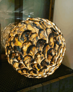 Oysterlamp Barbara Odaert