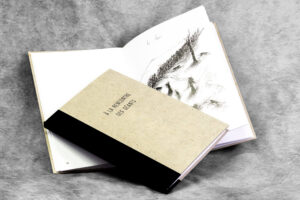 Carnet "à la rencontre des géants"
